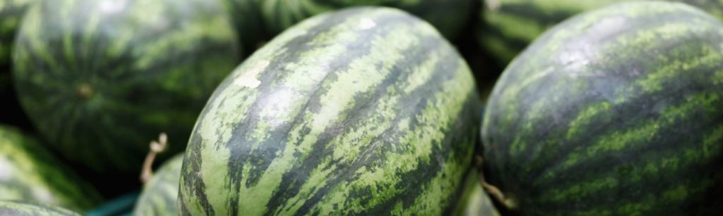 Closeup of watermelons.